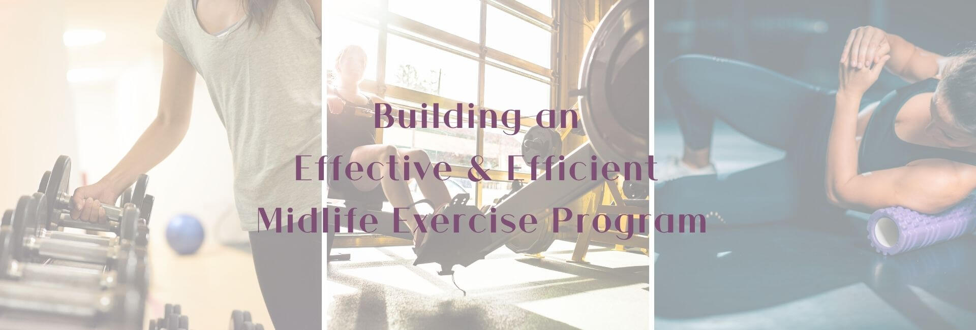 Build an effective exercise program