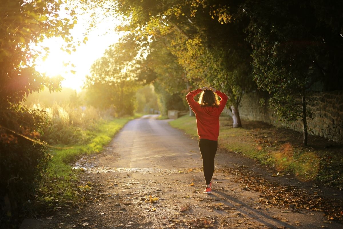 The Cardio Nobody Brags About Zone 2